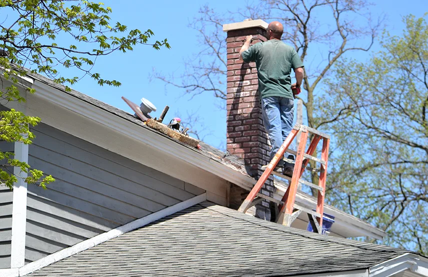 Chimney & Fireplace Inspections Services in Greenville, SC